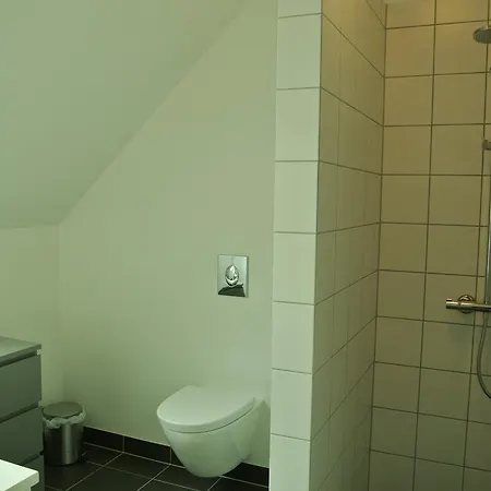 Kaerskovgard Apartment