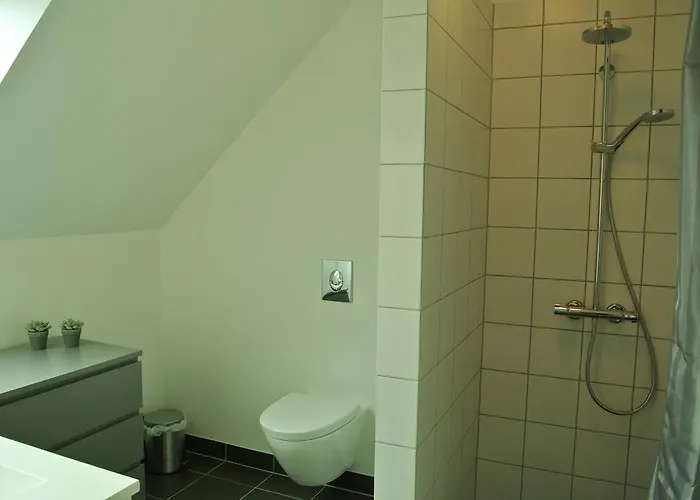 Kaerskovgard Apartman